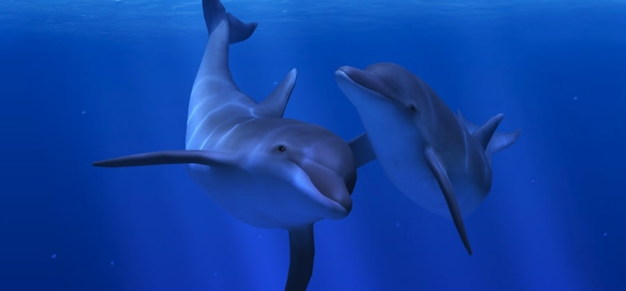 A dolphin is swimming! Welcome underwater! π¬
