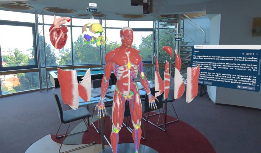 Models are built from real CT and MRI scans with sub-millimeter precision.