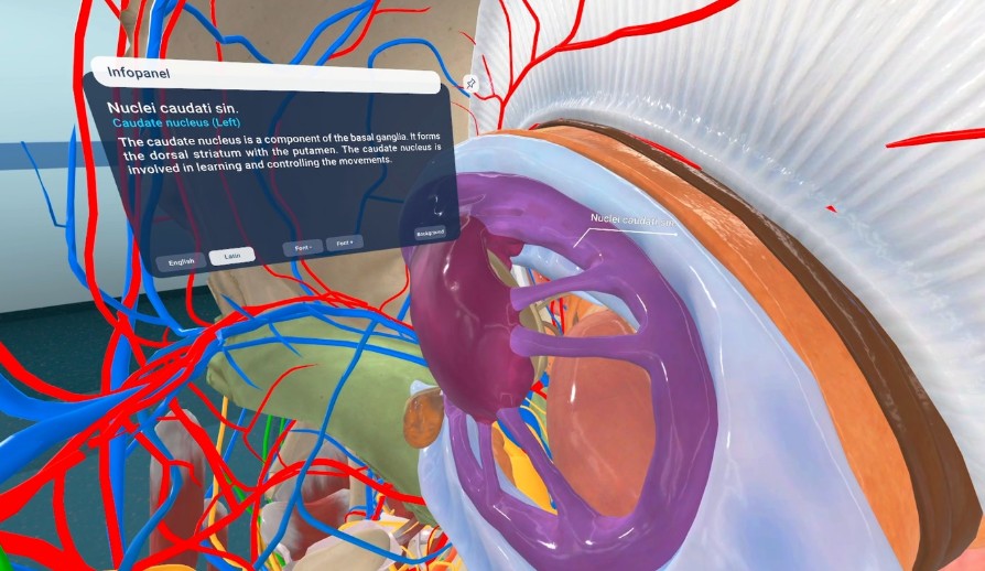 In Harvard Medical School’s pilot, VR learners completed tasks 20% faster with 15% fewer errors.